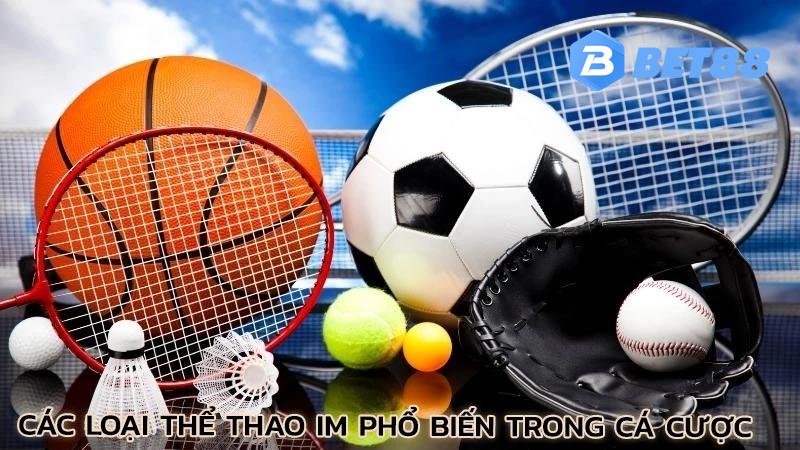 cac-loai-the-thao-im-pho-bien-trong-ca-cuoc