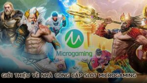 gioi-thieu-ve-nha-cung-cap-slot-microgaming