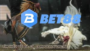 tim-hieu-ve-da-ga-campuchia-online